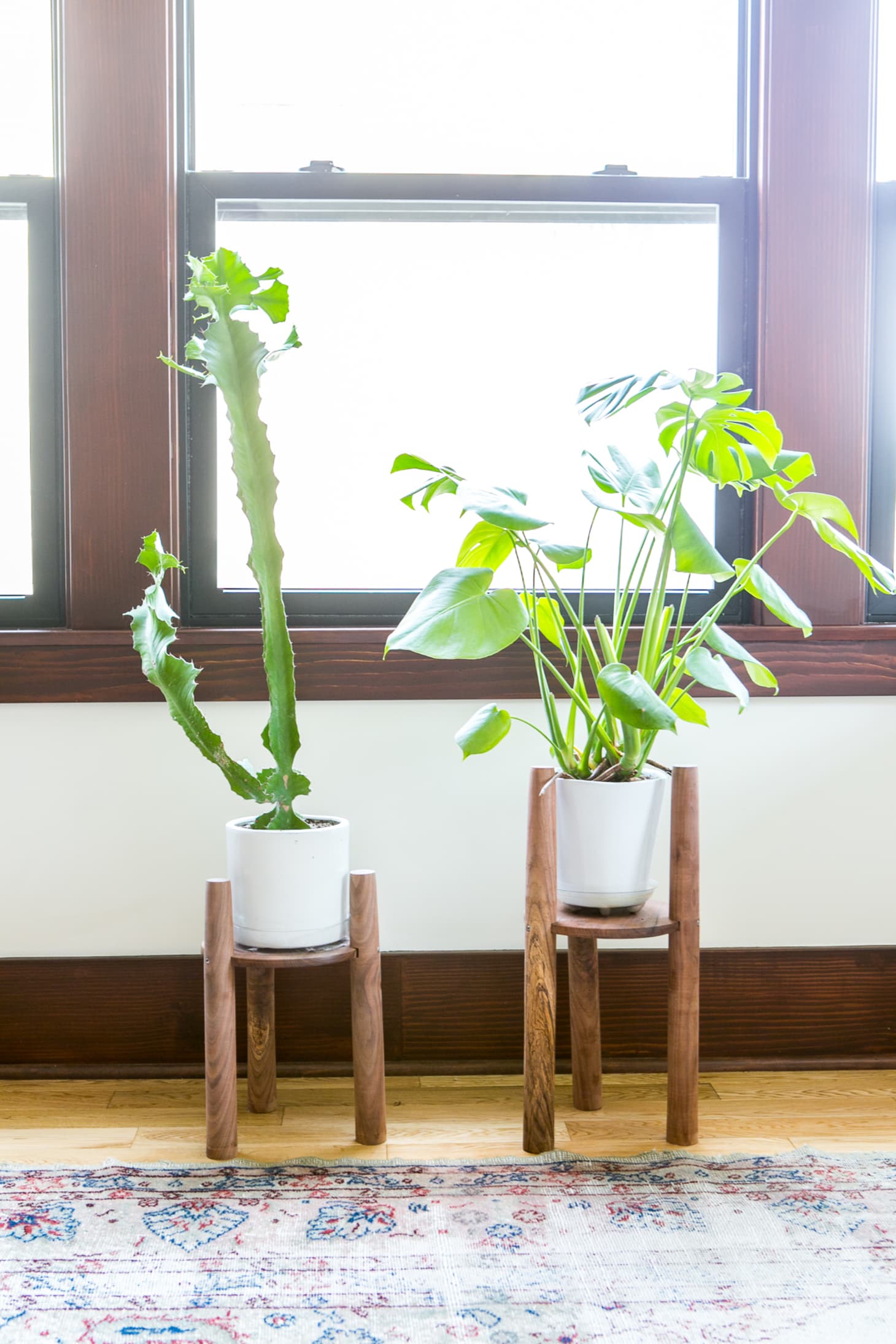 How to Display Houseplants 65 of Our Favorite PlantDisplay Ideas